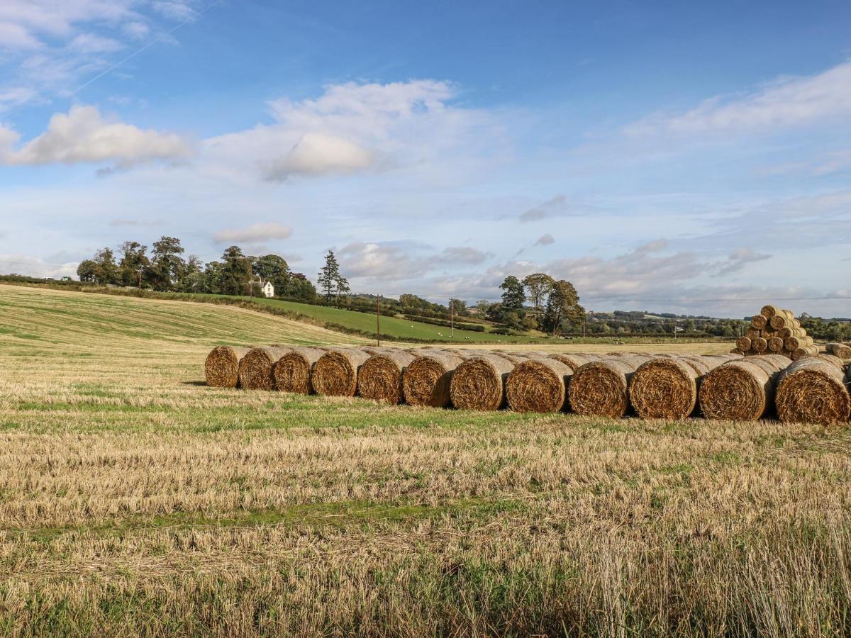 Bonjedward Mill Farm Cottage เจ๊ดบะระ ภายนอก รูปภาพ